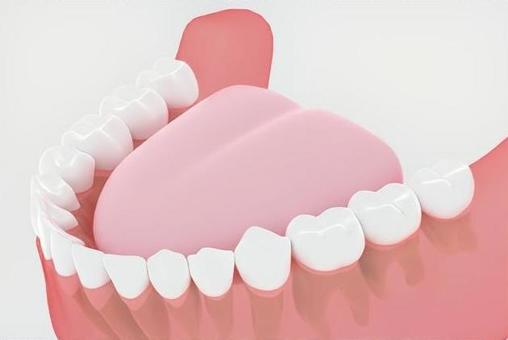 歯ぐきのイラスト